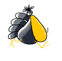 Ecuador Running Sticker