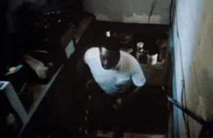 Bug Insect GIF