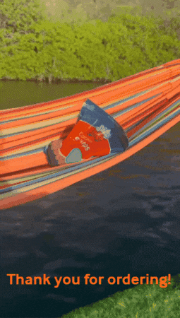 Shrimps Hangmat GIF by Salty Seafood