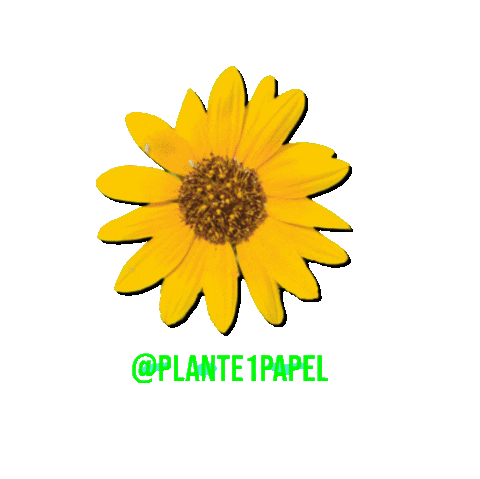 Happy Flower Sticker by plante1papel