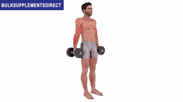 Bulksupplementsdirect GIF