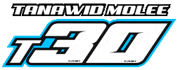 Team Flamingo Sticker by SMD Graphics