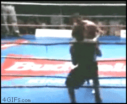 boxing fail GIF