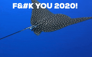 The Dive Bus, Curacao GIF