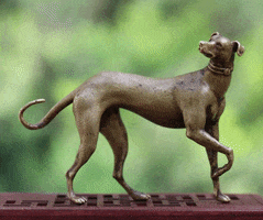 Whippet Gifts GIF