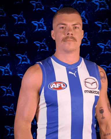 Bull Afl GIF by North Melbourne FC