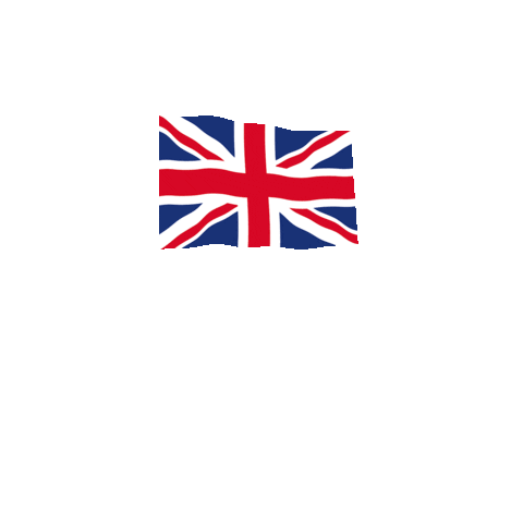 British Army Sticker by The Black Rats