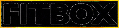 Fitbox Workout GIF