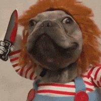 Dog-in-a-costume GIFs - Get the best GIF on GIPHY