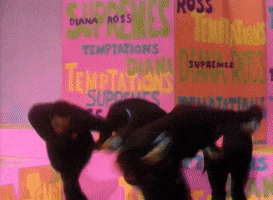 Diana Ross Medley GIF by The Ed Sullivan Show