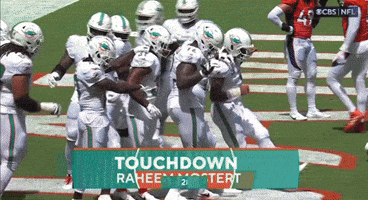 Nfl Dolphins GIF