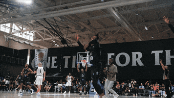 Cebl Scarborough GIF by Canadian Elite Basketball League