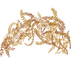 Slowliving Lovis Sticker by MadgenFou