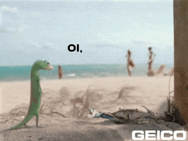 What You Lookin At GIF by GEICO