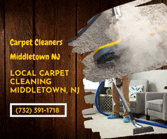 Best Pet Stains Middletown Nj GIF