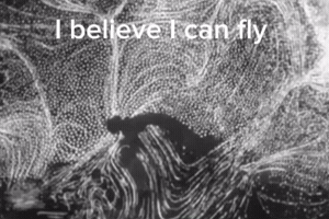 Flying I Can Fly GIF