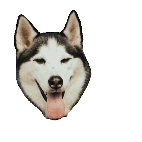 Dog Sticker