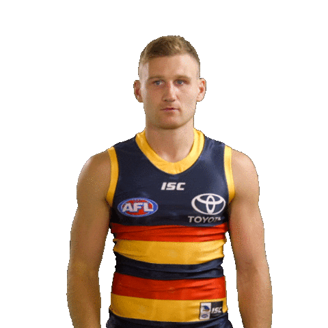 Rory Laird Stickers Sticker by Adelaide Crows