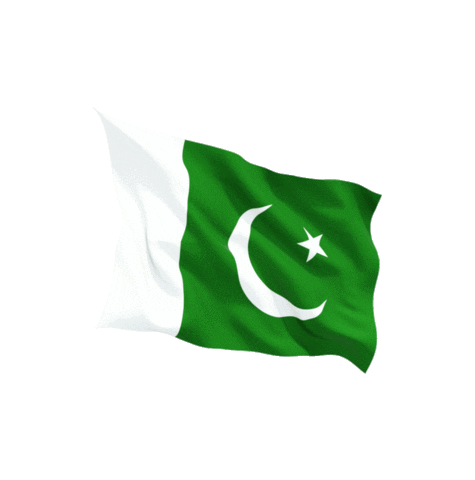 ebuildpakistan Sticker for iOS & Android | GIPHY