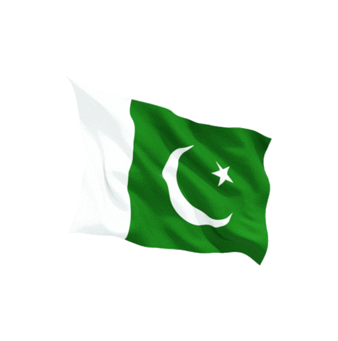 ebuildpakistan Sticker for iOS & Android | GIPHY ebuildpakistan Sticker for iOS & Android | GIPHY