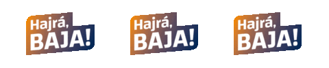 Fidesz Baja és térsége Sticker