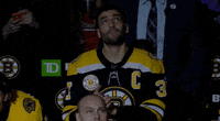 Hockey Bruins GIF by Boston College Eagles - Find & Share on GIPHY