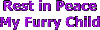 Pet Sticker