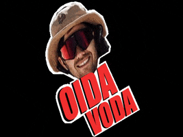 Oida GIF by AudiNines