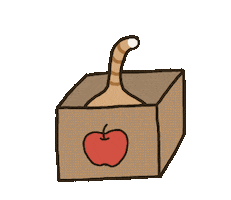 Cat Sticker