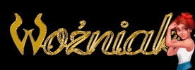 Wozniak LLC GIF