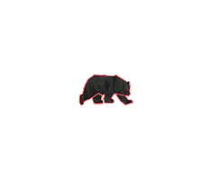Black Bear Tactical Training Sticker