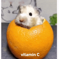 200w.gif
