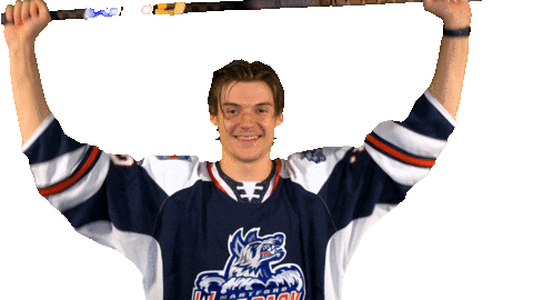Source: Hartford Wolf Pack