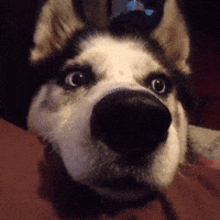 200.gif