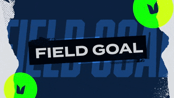 Field Goal Nfl GIF by Seattle Seahawks