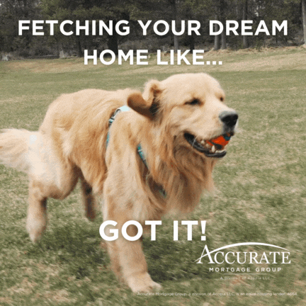 Fetch Dream Home GIF by Accurate Mortgage Group