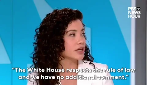 Donald Trump GIF