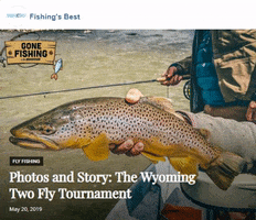 troywakelin fishing tournament wyoming flyfish GIF