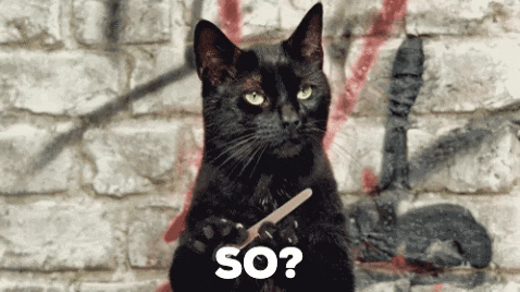 giphy.gif?cid=19f5b51a007309ca692c885ad2