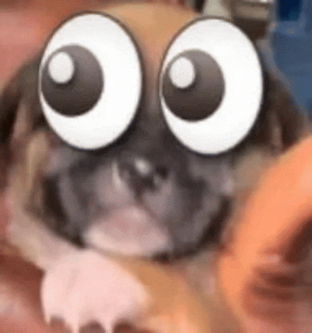 Void Contexto GIF