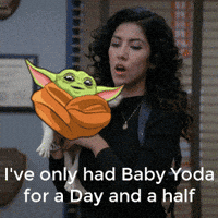 Star Wars Meme Gif Find Share On Giphy Star Wars Meme Gif Find Share On Giphy