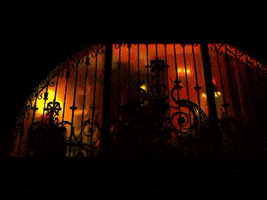 Insidious GIF