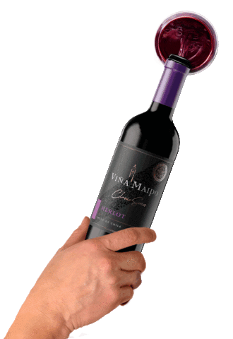 Maipo Vinos Sticker