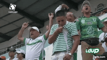 Perfecty GIF by Liga Deportiva Universitaria de Portoviejo
