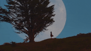 Moon Moonrise GIF by Storyful