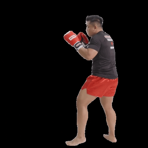 Boxing Kick GIF by Active Red