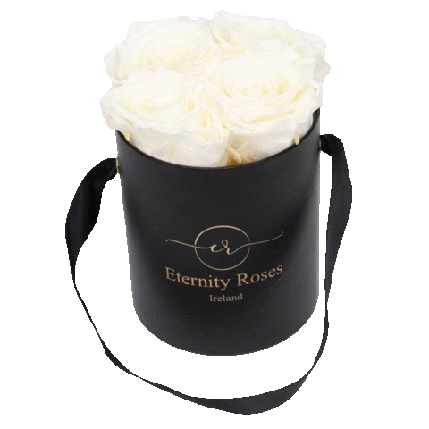 Eternity Roses Sticker