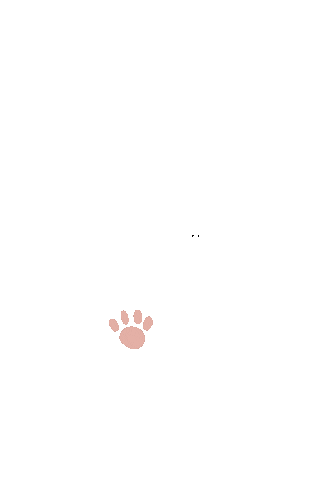 Cat 貓 Sticker