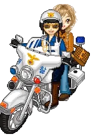 police STICKER