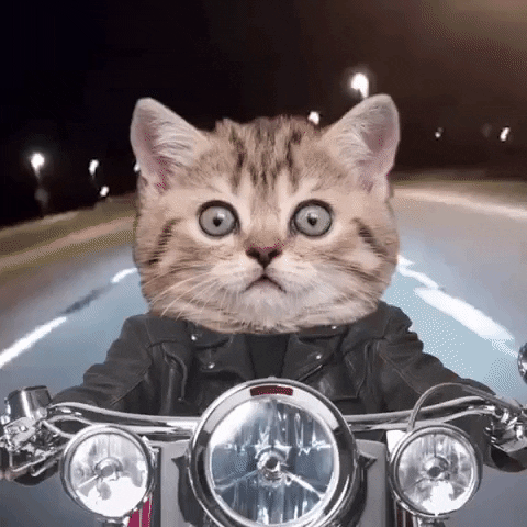24-uurs Solexrace Festival GIF
